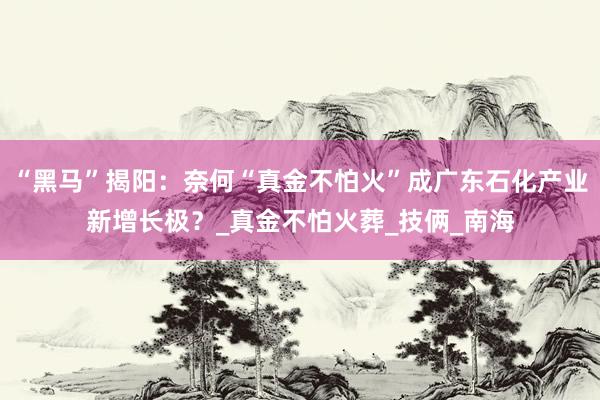 “黑马”揭阳：奈何“真金不怕火”成广东石化产业新增长极？_真金不怕火葬_技俩_南海