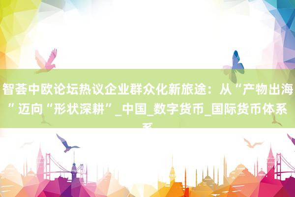 智荟中欧论坛热议企业群众化新旅途：从“产物出海”迈向“形状深耕”_中国_数字货币_国际货币体系