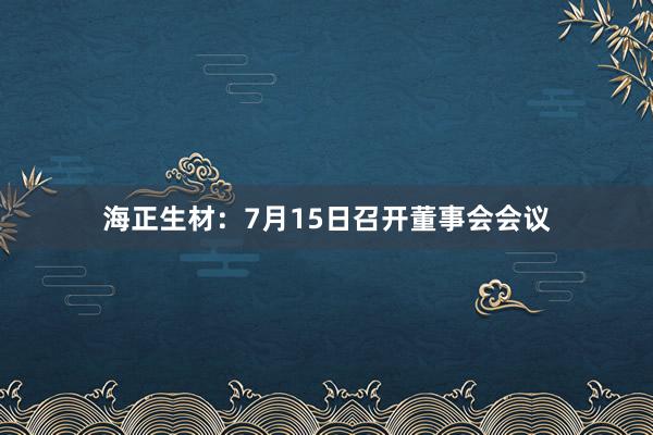 海正生材：7月15日召开董事会会议