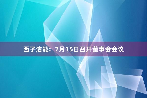 西子洁能：7月15日召开董事会会议