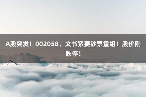A股突发！002058，文书紧要钞票重组！股价刚跌停！