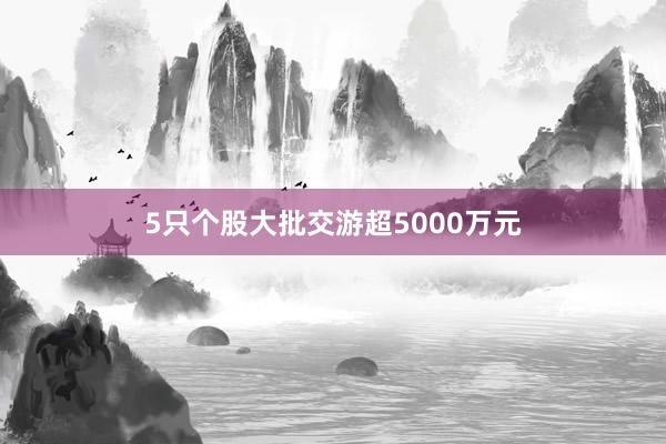 5只个股大批交游超5000万元