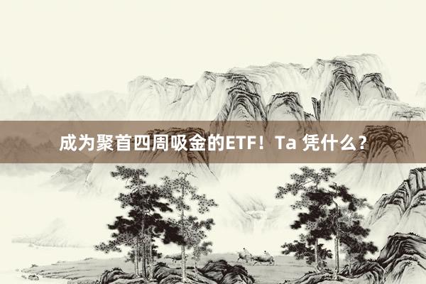 成为聚首四周吸金的ETF！Ta 凭什么？