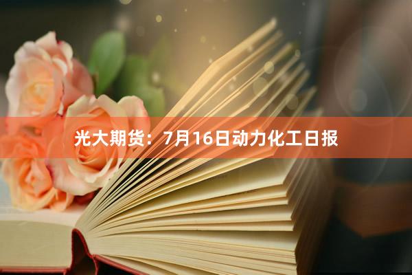光大期货：7月16日动力化工日报