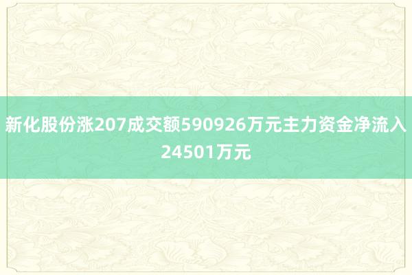 新化股份涨207成交额590926万元主力资金净流入24501万元