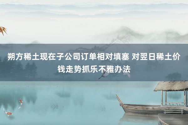 朔方稀土现在子公司订单相对填塞 对翌日稀土价钱走势抓乐不雅办法