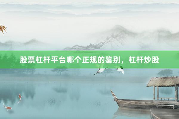 股票杠杆平台哪个正规的鉴别，杠杆炒股