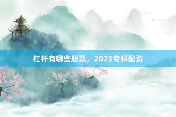 杠杆有哪些股票，2023专科配资