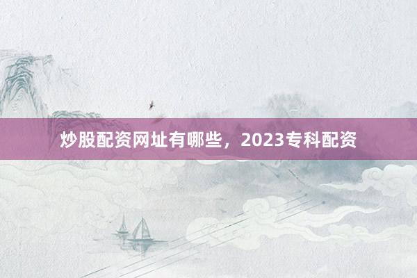 炒股配资网址有哪些，2023专科配资
