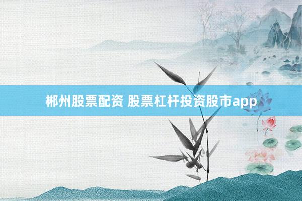 郴州股票配资 股票杠杆投资股市app
