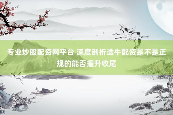 专业炒股配资网平台 深度剖析途牛配资是不是正规的能否擢升收尾