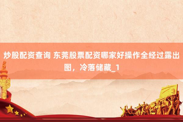 炒股配资查询 东莞股票配资哪家好操作全经过露出图，冷落储藏_1