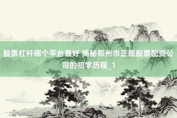 股票杠杆哪个平台最好 揭秘郑州市正规股票配资公司的初学历程_1