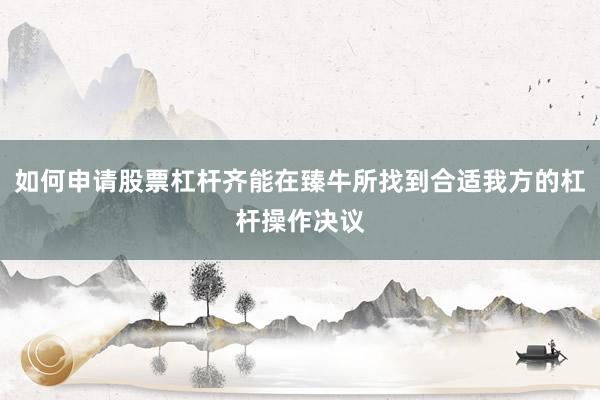 如何申请股票杠杆齐能在臻牛所找到合适我方的杠杆操作决议
