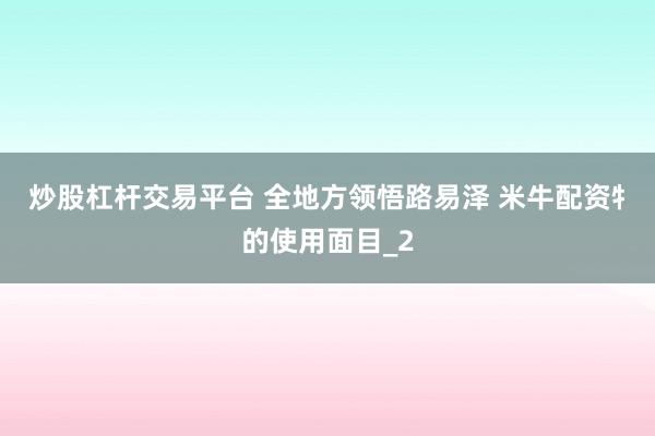 炒股杠杆交易平台 全地方领悟路易泽 米牛配资牜的使用面目_2