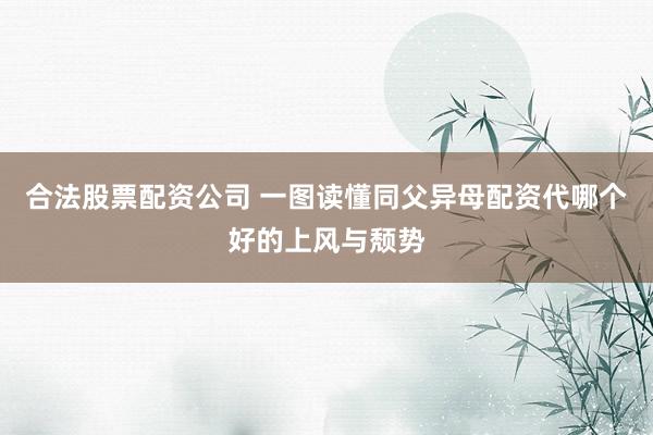 合法股票配资公司 一图读懂同父异母配资代哪个好的上风与颓势