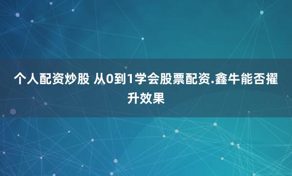 个人配资炒股 从0到1学会股票配资.鑫牛能否擢升效果