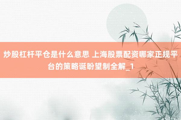 炒股杠杆平仓是什么意思 上海股票配资哪家正规平台的策略诞盼望制全解_1